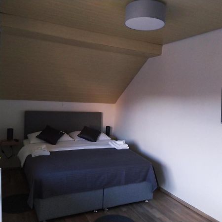 Apartment Trubarjeva33, Near Ljubljana, Free Parking Velike Lasce Buitenkant foto