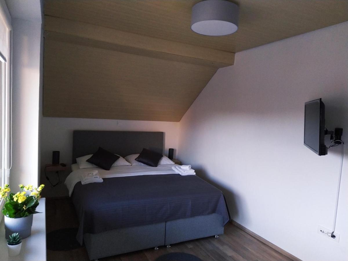 Apartment Trubarjeva33, Near Ljubljana, Free Parking Velike Lasce Buitenkant foto