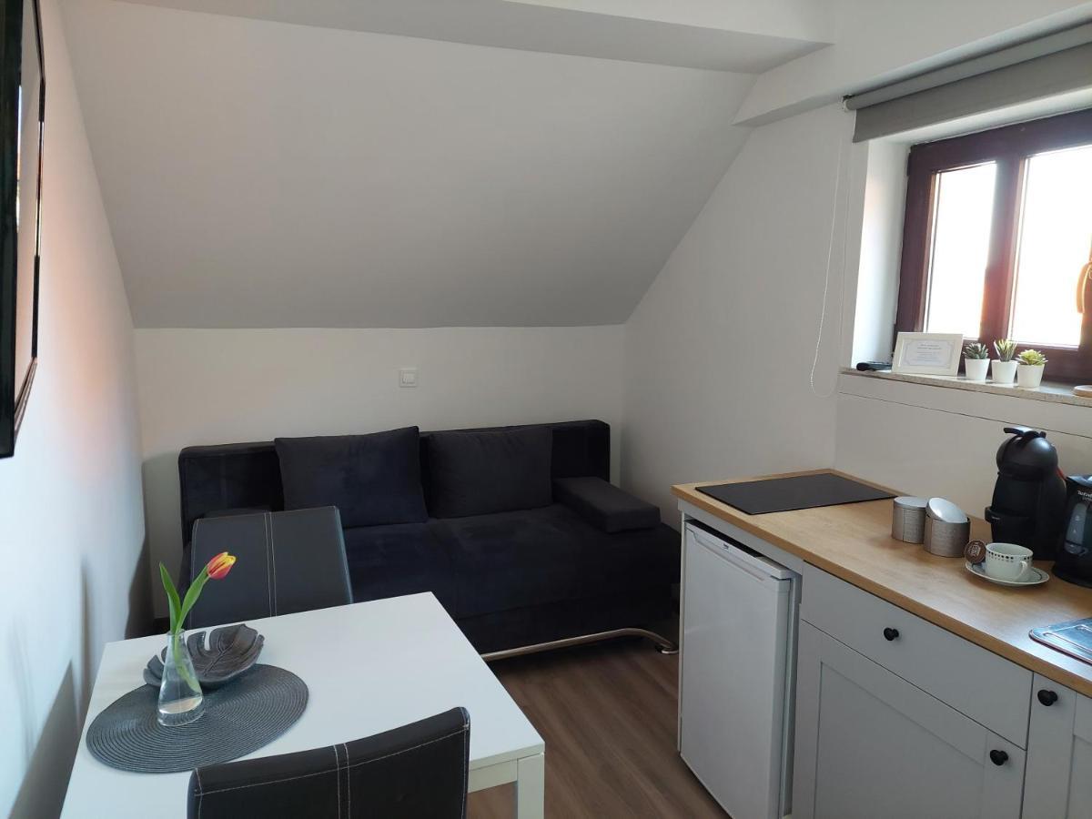 Apartment Trubarjeva33, Near Ljubljana, Free Parking Velike Lasce Buitenkant foto