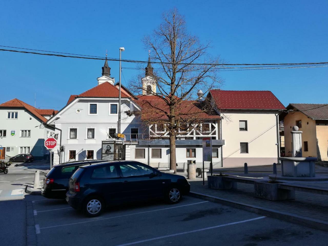 Apartment Trubarjeva33, Near Ljubljana, Free Parking Velike Lasce Buitenkant foto