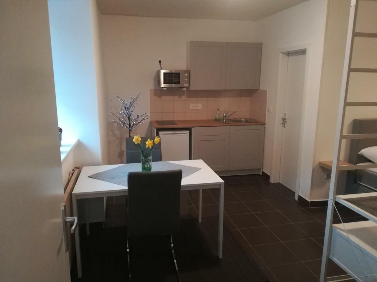 Apartment Trubarjeva33, Near Ljubljana, Free Parking Velike Lasce Buitenkant foto